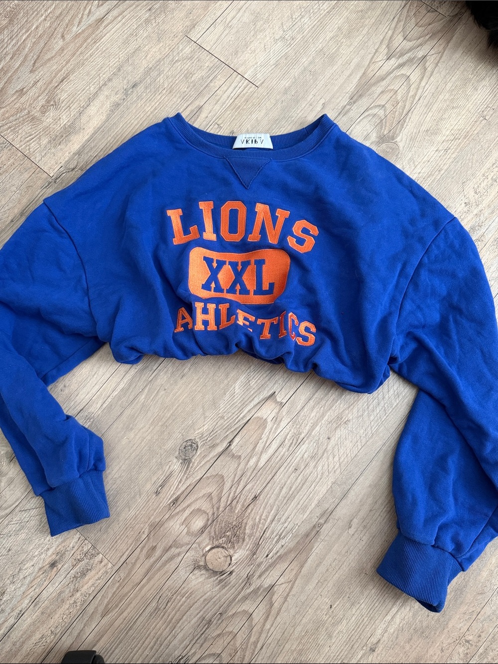 AKIRA Blue Crewneck Sweatshirt with Orange 'LIONS' Athletic Print